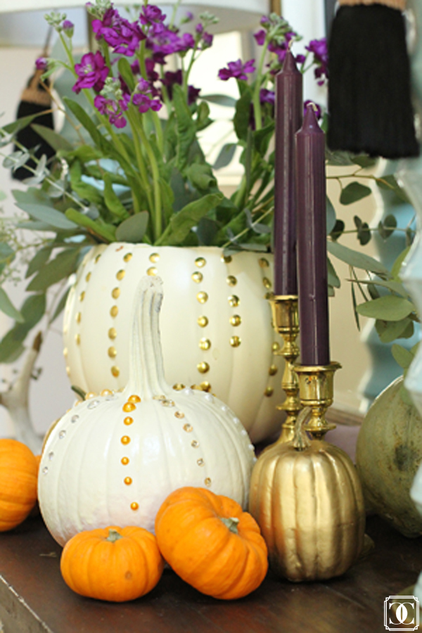 studded pumpkins thumb tacks