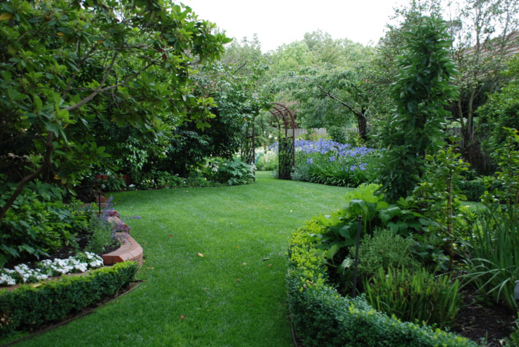 How to Get the Perfect Lawn this Spring – Tips and Tricks from Lawn ...