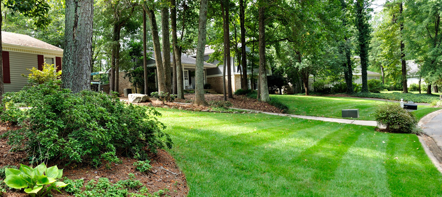 How To Get The Perfect Lawn This Spring Tips And Tricks From Lawn Experts Betterdecoratingbible 