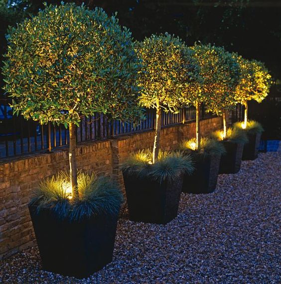 Any Small Garden will be Sure to Turn Heads with These Lighting Tips