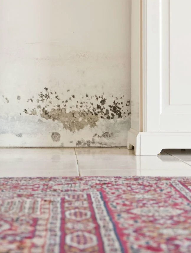 Questions to Ask Before Hiring Water Damage Company