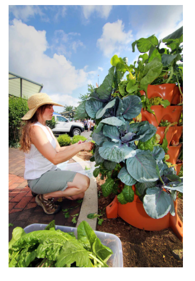 vertical garden tower planter for planting on your balcony