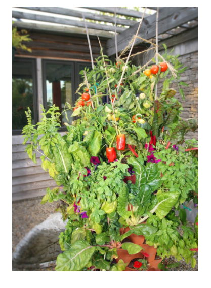 vertical garden tower planter for planting on your balcony