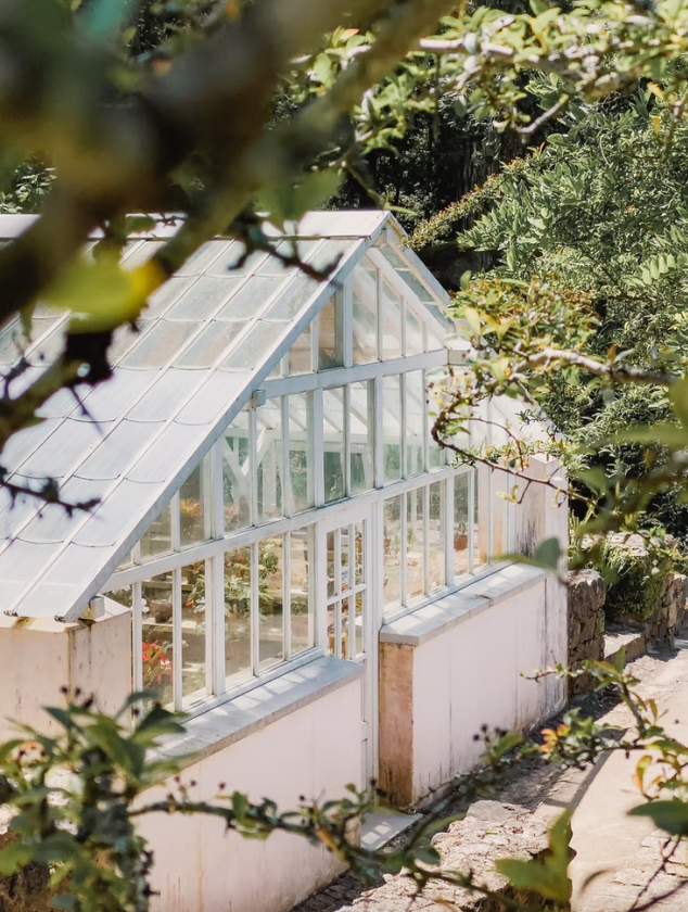 Greenhouse High-Tech Farming