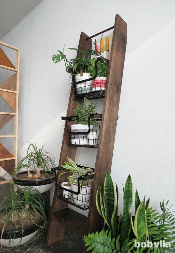 https://betterdecoratingbible.com/wp-content/uploads/2023/09/diy-how-to-make-a-ladder-plant-rack.png