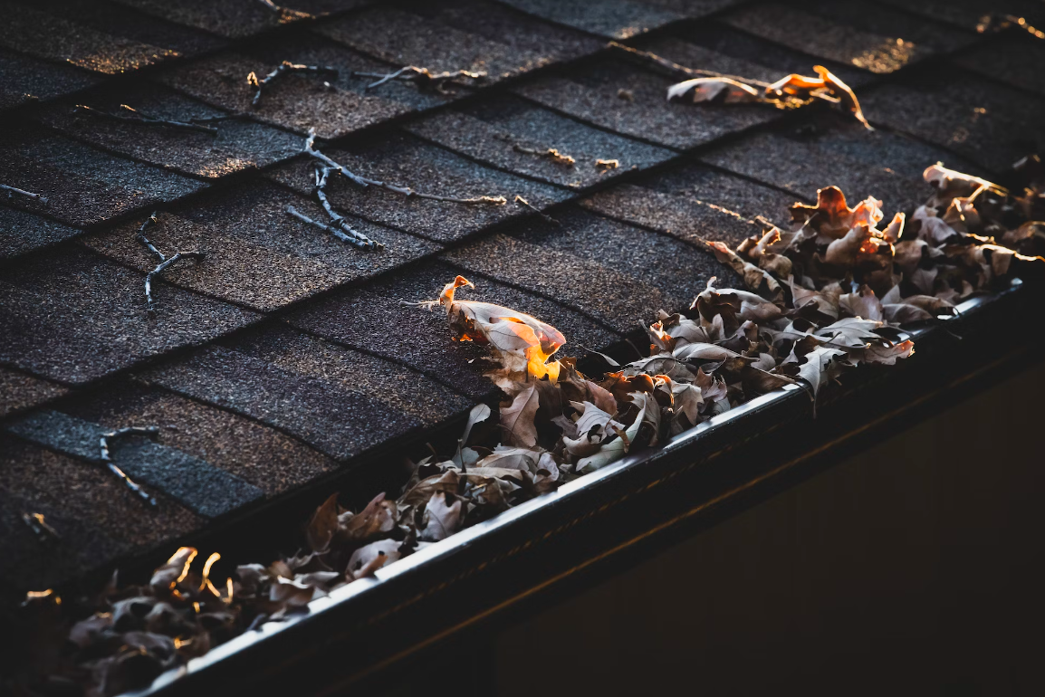 Best Ways To Keep Gutters Clean BetterDecoratingBible